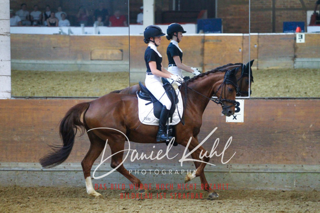 DKP44353 | Turniersportfotografie; Pferdefotografie; Dressurfotografie