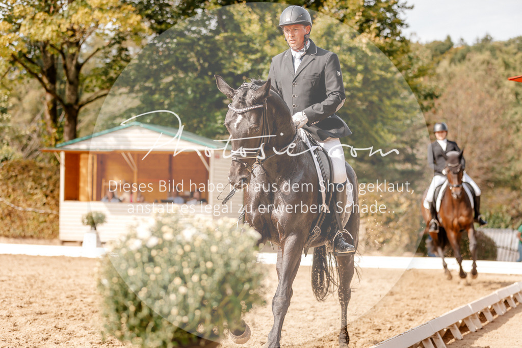 3I6A4237 | Stimmungsvolle Portraits und Reitsportfotografie im Ruhrgebiet und im Münsterland.

Pferdefotografie, Hundefotografie, Tierfotografie, Reportagen, Portraits von Tier und Mensch, Turnierfotografie in Bochum, Recklinghausen, Marl, Haltern am See, Dülmen.. - Realisiert mit Pictrs.com