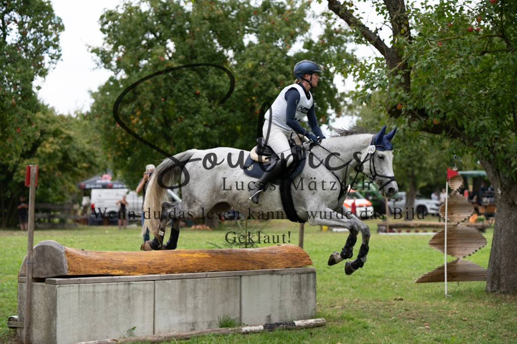 A7V03681 | Pferdefotograf