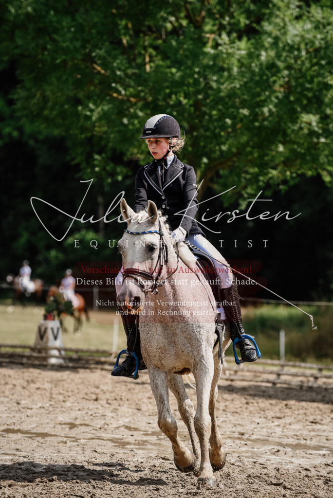 DSC_0515 | Pferde- und Turnierfotografie in Westsachsen. Pferdeportraits, Auftragszeichnungen und intuitive Kunst.