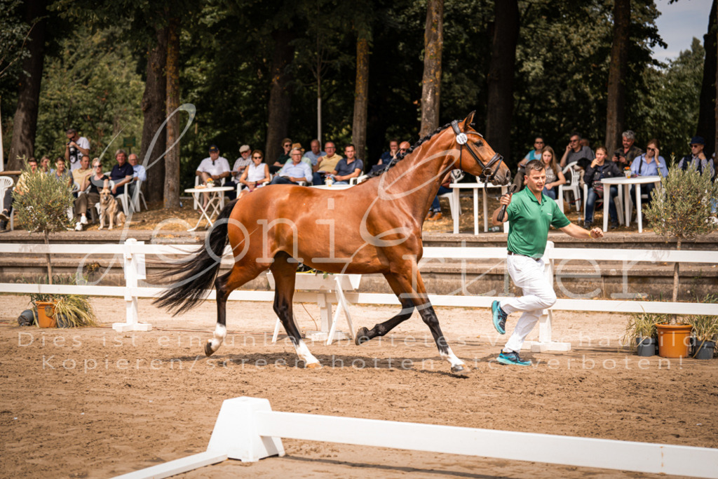 3.Fr00022 | Leoni Ertmer Photography - Realisiert mit Pictrs.com