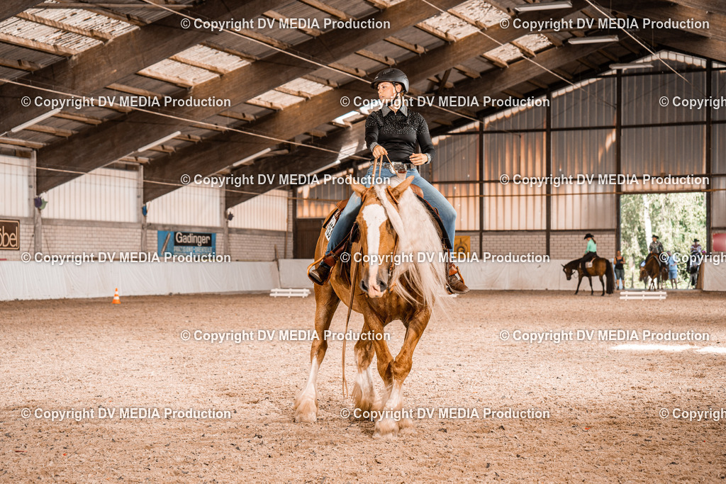 ZH100115 | dv-media-shop - Realisiert mit Pictrs.com