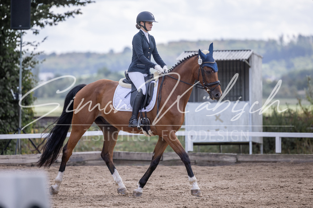 20260905-_3LI7833 | Tierfotografie Pferde, Hunde, Katzen, Haustiere.
Turnierfotografie Reitturniere, Reiten, Springreiten, Dressur in Hanau, dem Main-Kinzig-Kreis und dem Rhein-Main- Gebiet um Frankfurt