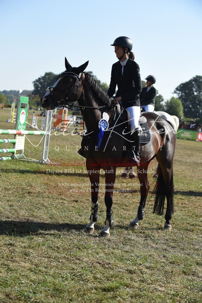 DSC_5458 | Pferde- und Turnierfotografie in Westsachsen. Pferdeportraits, Auftragszeichnungen und intuitive Kunst.