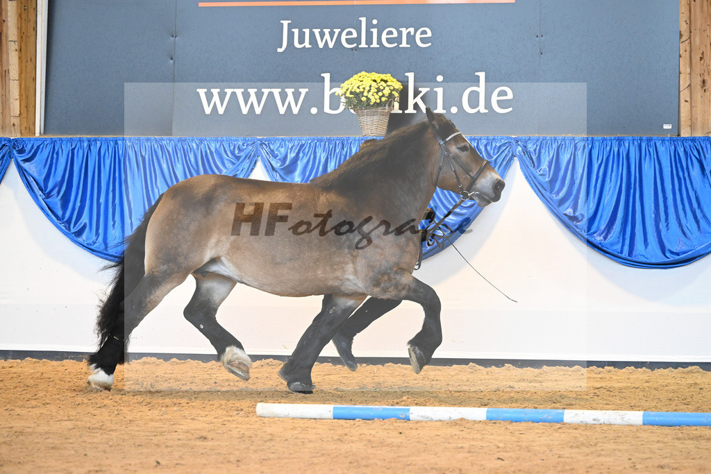 Kat-Nr. 24 Pia von Brueck_Bruecker Agrar u Landschafts GbR_53221104 | hf-fotografie - Realizzato con Pictrs.com
