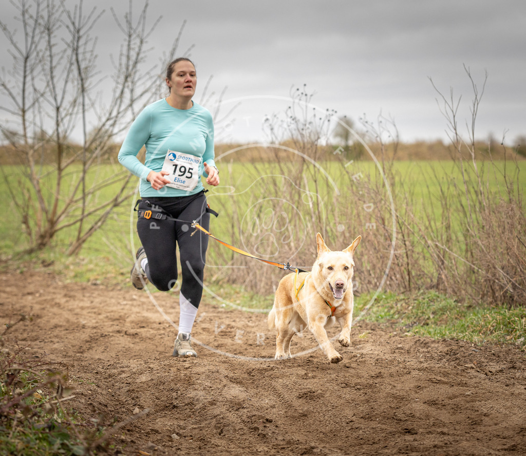 DV3A2306 | Hundefotografie, Tierfotograf, Pfotenfotografie, Fotoshooting Hund, Hunde Portrait, Hundesport, Hundeportraits, Heideshooting, Hunde, Sportfotograf, Hundefotograf, Turnierhundsport, THS,  - Realisiert mit Pictrs.com