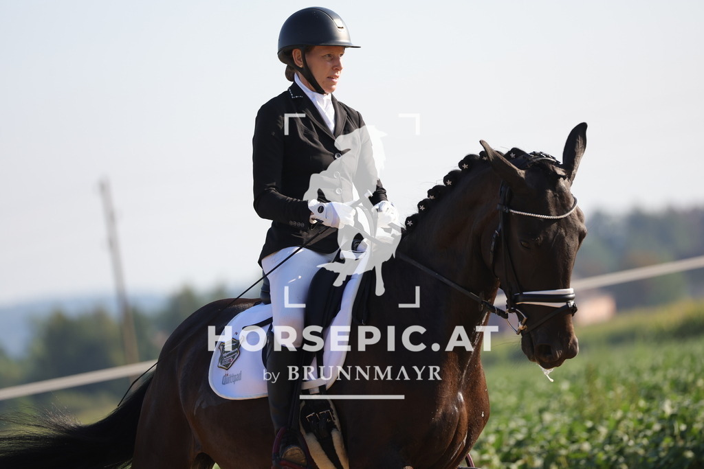 0P6A8599 | Willkommen bei Brunnmayr - Design & Fotografie – Ihrem Spezialisten für Reitturniere und Pferdeveranstaltungen in Oberösterreich, Salzburg und Bayern! Seit über 17 Jahren sind wir leidenschaftlich dabei.