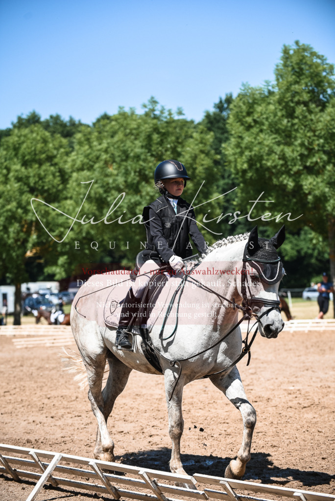 DSC_3120 | Pferde- und Turnierfotografie in Westsachsen. Pferdeportraits, Auftragszeichnungen und intuitive Kunst.
