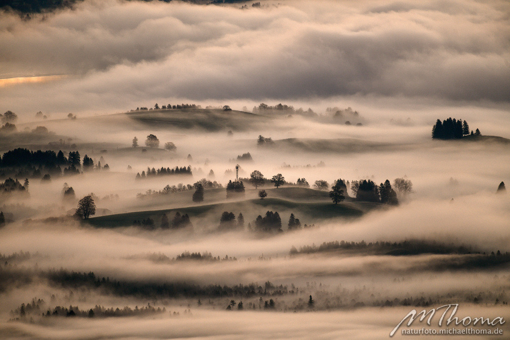 Morgennebelstimmung nahe Füssen | Dies ist der Online-Shop von naturfoto.michaelthoma.de. Ich bin leidenschaftlicher Naturfotograf und fotografiere von der Andromedagalaxie bis zum Zwergtaucher, von der Ameise bis zum Orionnebel alles was mit Natur zu tun hat. Hier kann eine Auswahl meine - Realisiert mit Pictrs.com