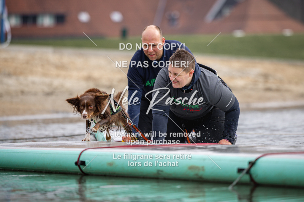 nelerasche_Hulsbeek_Sa1130-1230_610 | nelerasche
