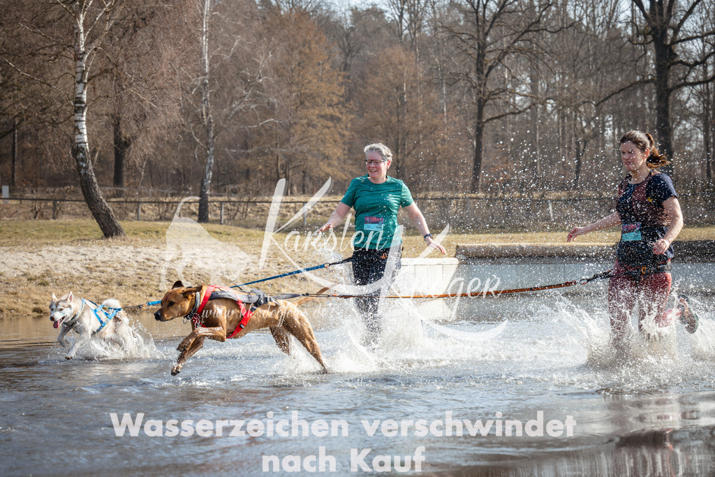 1123_ZZ94046 | kk-dogfotos