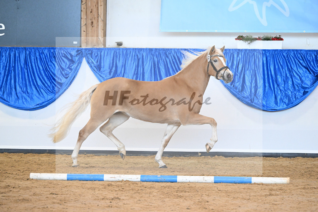 Kat-Nr. 7 Daria v. Armani Ass_Obermaier_60221122 | hf-fotografie - Realisiert mit Pictrs.com