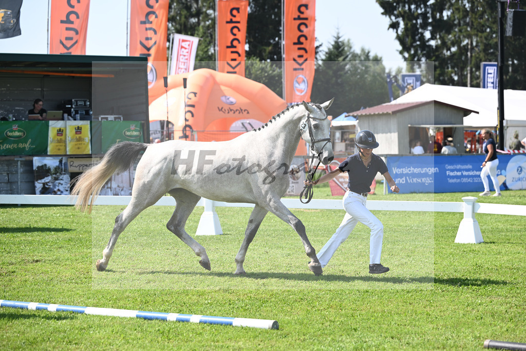 Kat-Nr. 23 nn v. Vingino_Schreder_34240522 | hf-fotografie - Realisiert mit Pictrs.com