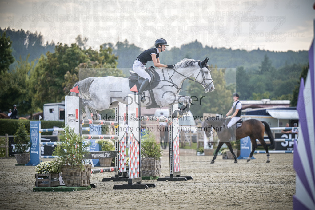 DOS_3206 | Entdecke hochwertige Reitturnierfotos von Foto Oger. Professionell, emotional und authentisch – jetzt Lieblingsmomente im Shop bestellen.Deutschlandweite Turnierfotografie. - Realisiert mit Pictrs.com