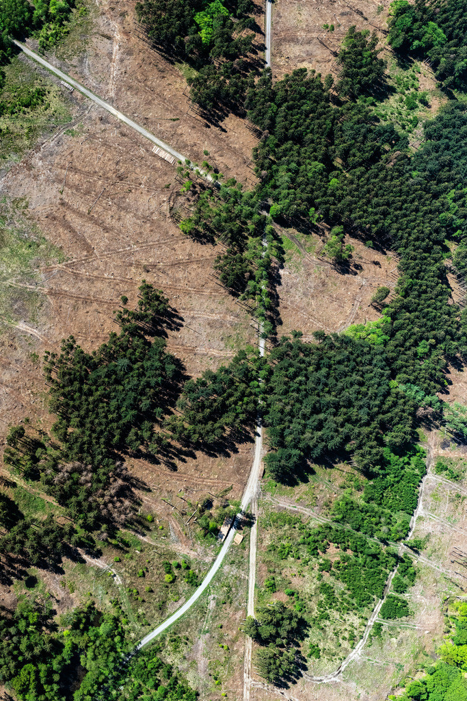 dr__0052911.jpg | RANSBACH-BAUMBACH 07.05.2020 Durch Rodung kahle Waldfläche in einem Waldgebiet - Forstgelände in Wittgert im Bundesland Rheinland-Pfalz, Deutschland. // Bald area of a cleared forest in Wittgert in the state Rhineland-Palatinate, Germany. Foto: Daniel Reiter