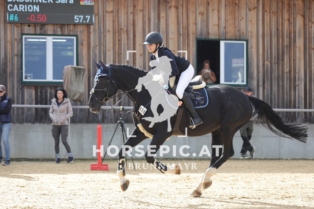 0P6A8575 | Willkommen bei Brunnmayr - Design & Fotografie – Ihrem Spezialisten für Reitturniere und Pferdeveranstaltungen in Oberösterreich, Salzburg und Bayern! Seit über 17 Jahren sind wir leidenschaftlich dabei.