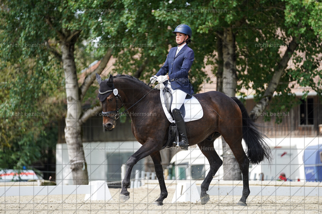 20230826-FAH05515 | Forstinning, 2023, Dressurturnier, Turniersportbilder, Turnierfotografen Bayern, Fotoagentur Herrmann, Reitsportfotografie, Turnierbilder