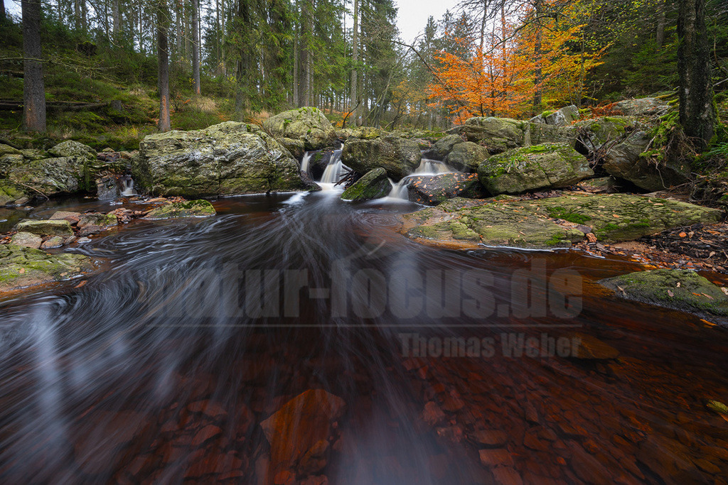 R6NF6226_20241102 | Der Mittelgebirgsbach schlängelt sich malerisch durch die herbstliche Landschaft. Das Wasser fließt klar und erfrischend, während die sanften Wellen sanft über glatte Steine plätschern. Uferbäume, deren Blätter in leuchtenden Farben von Goldgelb bis tiefrot erstrahlen, spiegeln sich im ruhigen Wasser.

 - Realisiert mit Pictrs.com