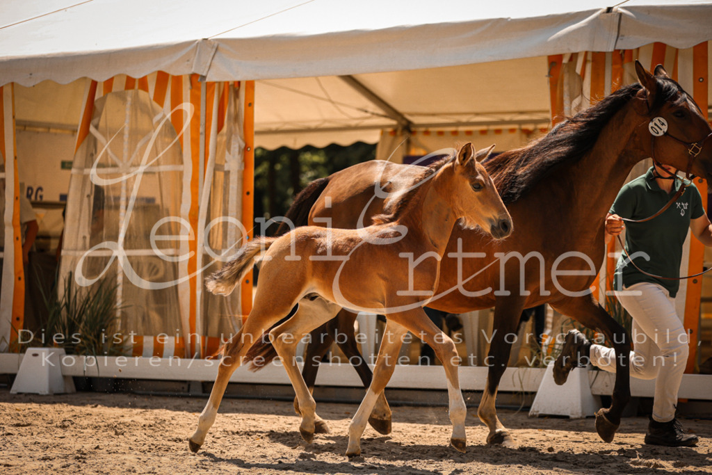 03.DoAB00030 | Leoni Ertmer Photography - Realisiert mit Pictrs.com