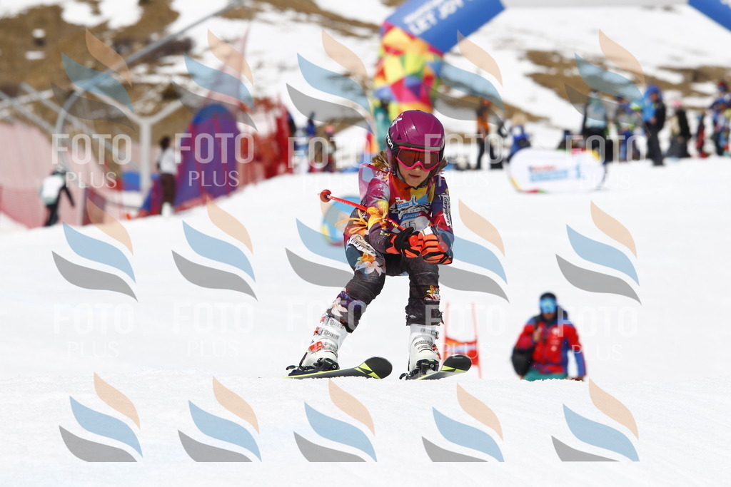 _U3G8207 | holidayphoto