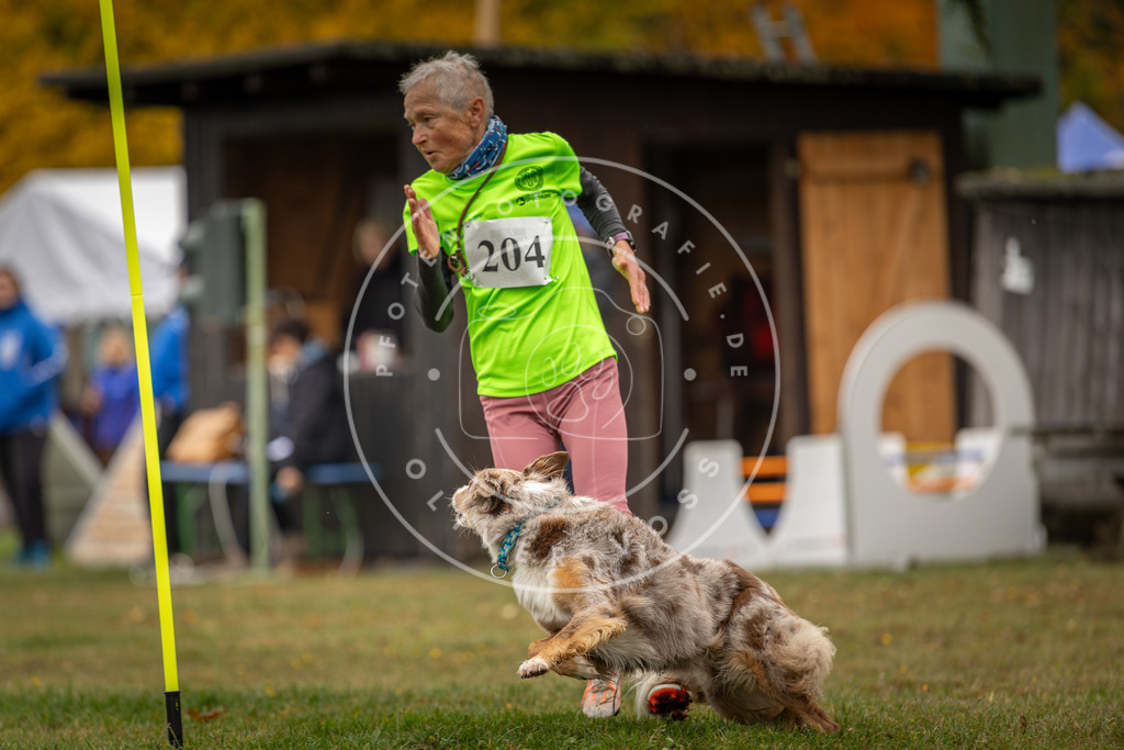 Pfotenfotografie_DV3A1701 | Hundefotografie, Tierfotograf, Pfotenfotografie, Fotoshooting Hund, Hunde Portrait, Hundesport, Hundeportraits, Heideshooting, Hunde, Sportfotograf, Hundefotograf, Turnierhundsport, THS,  - Realisiert mit Pictrs.com