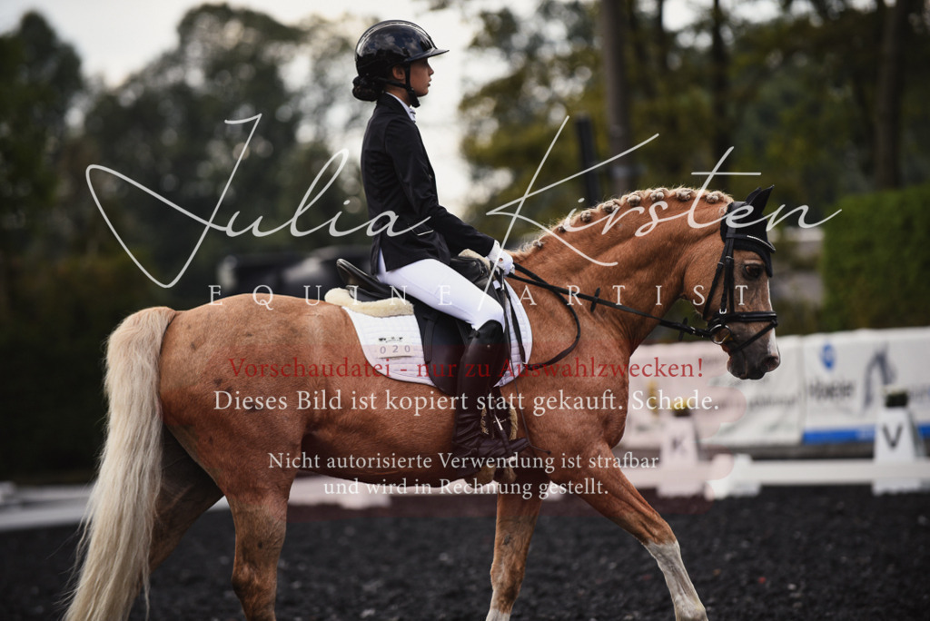 DSC_3812 | Pferde- und Turnierfotografie in Westsachsen. Pferdeportraits, Auftragszeichnungen und intuitive Kunst.