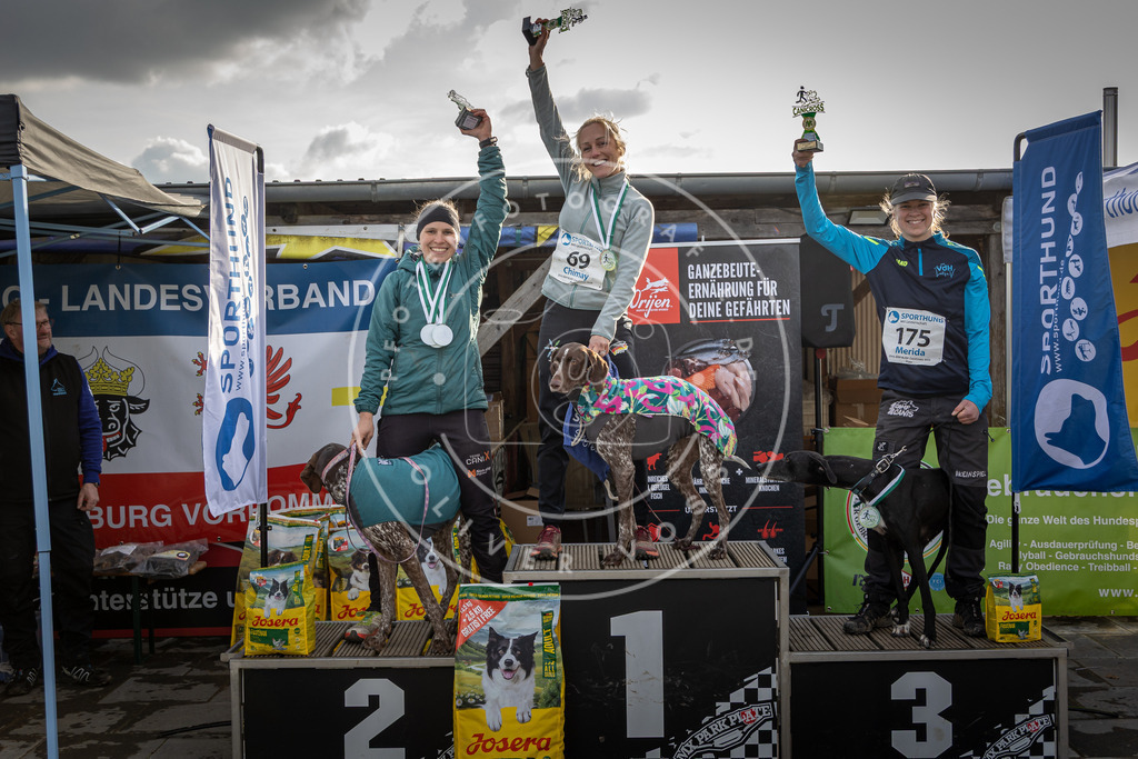 0L8A9260 | Hundefotografie, Tierfotograf, Pfotenfotografie, Fotoshooting Hund, Hunde Portrait, Hundesport, Hundeportraits, Heideshooting, Hunde, Sportfotograf, Hundefotograf, Turnierhundsport, THS,  - Realisiert mit Pictrs.com