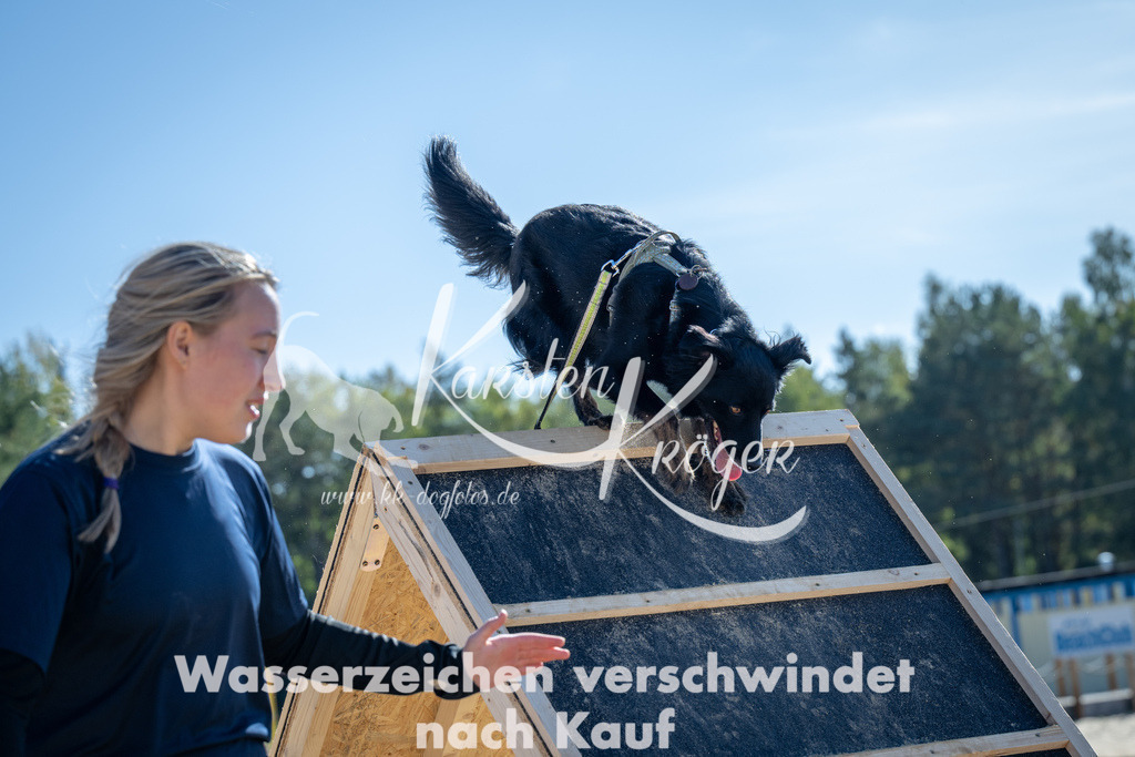 1237_ZZ93386-2 | kk-dogfotos