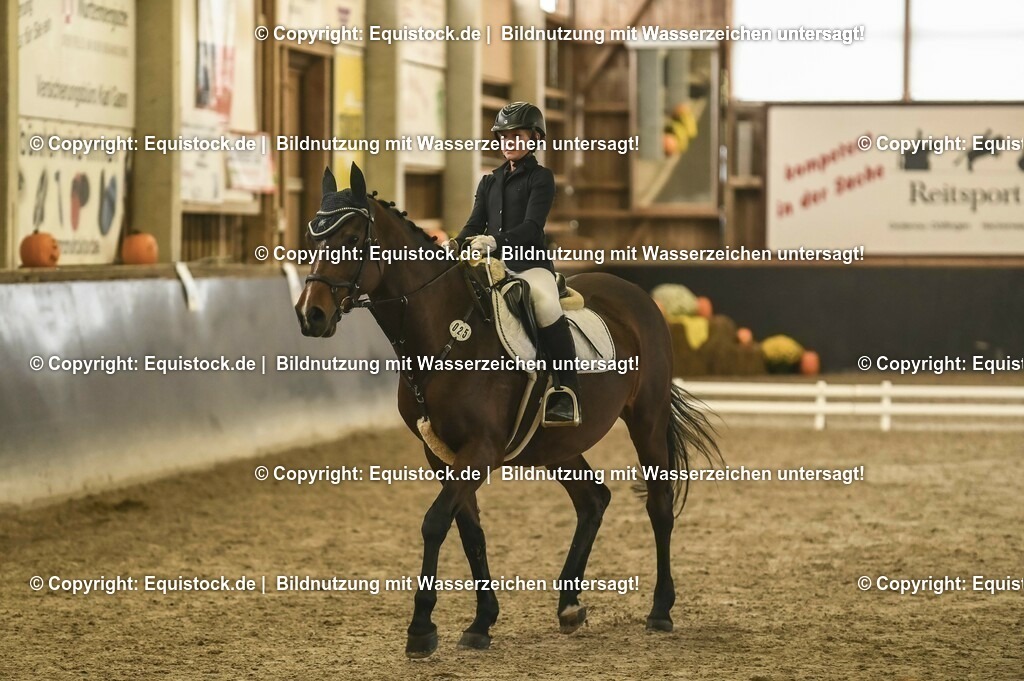 20231029_02_Reiter-WB_Schritt-Trab_Abteilung-02_0023 | Foto: Thomas Hartig