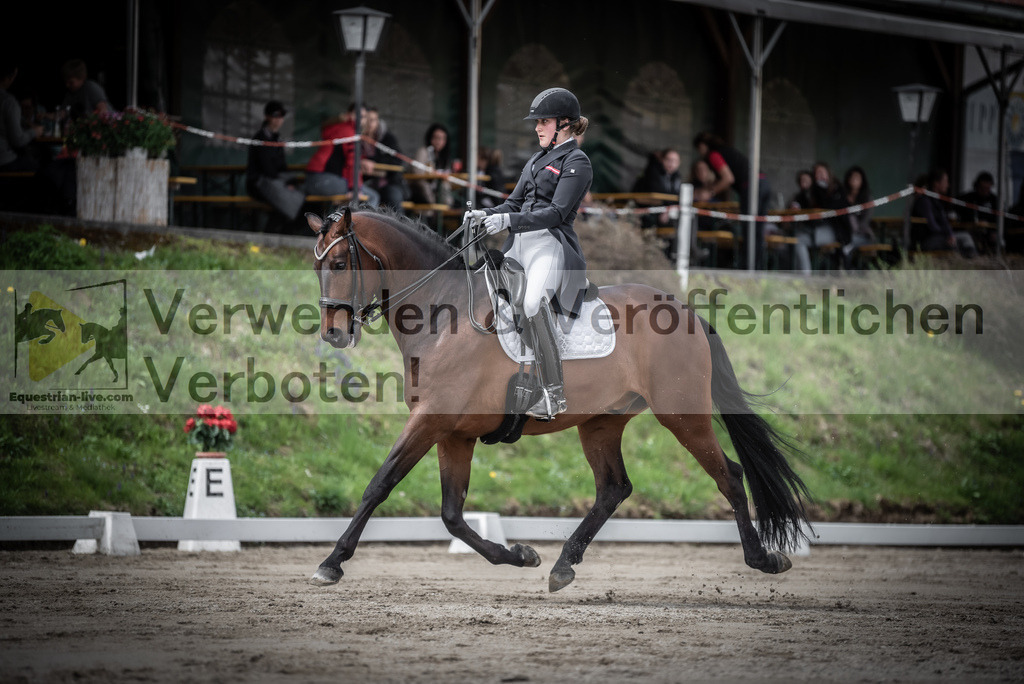 DSC_2446 | equestrian-live-com