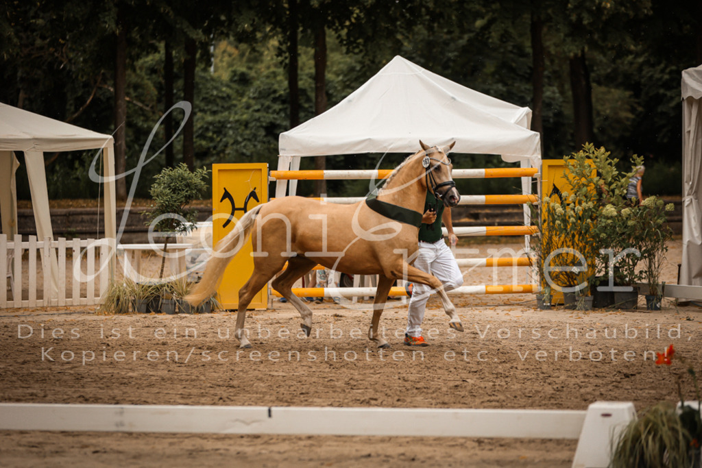 10.-12.Elite00146 | Leoni Ertmer Photography - Realisiert mit Pictrs.com