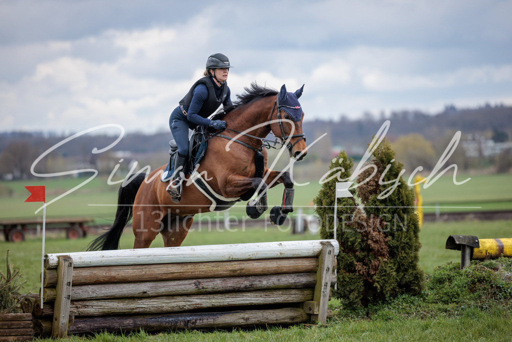 20260329-_3LI5495 | Tierfotografie Pferde, Hunde, Katzen, Haustiere.
Turnierfotografie Reitturniere, Reiten, Springreiten, Dressur in Hanau, dem Main-Kinzig-Kreis und dem Rhein-Main- Gebiet um Frankfurt