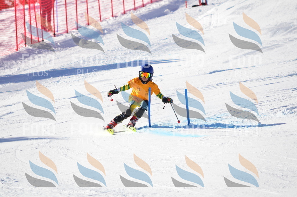 C6045 | holidayphoto