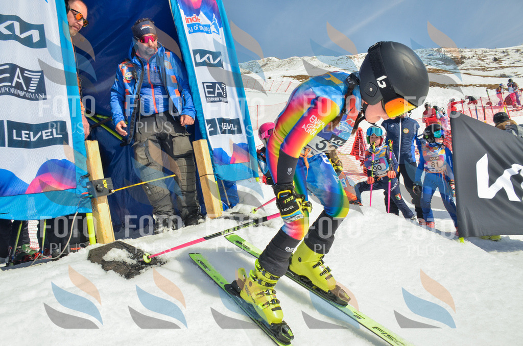 _ELE5211 | holidayphoto