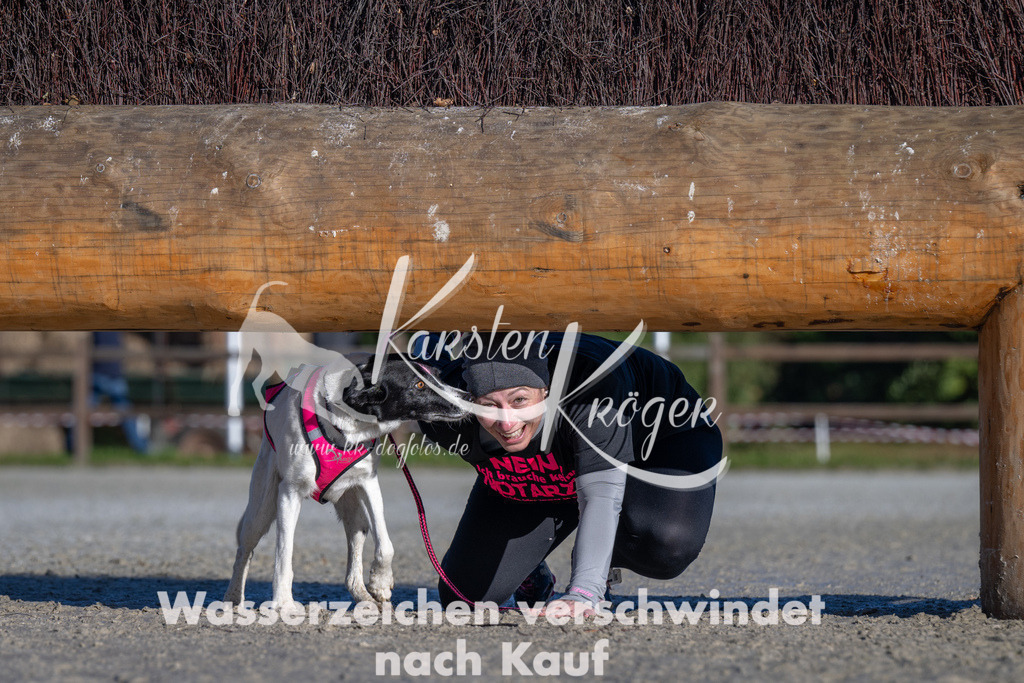 1038-_ZZ91908 | kk-dogfotos