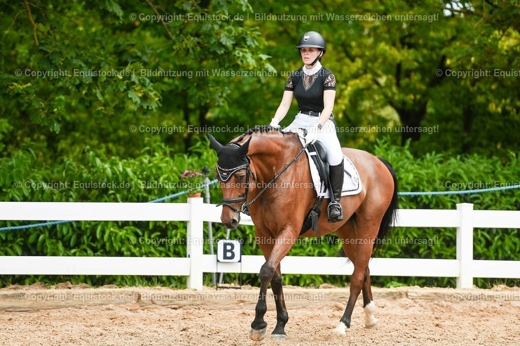 20230715_05_Dressurprüfung Kl.A++_0313 | equistock