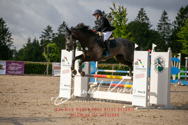 IMG_5293 | Turniersportfotografie; Pferdefotografie; Dressurfotografie