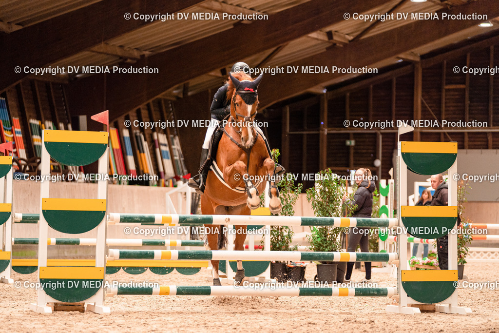 Springen Tag 2-315 | dv-media-shop - Realisiert mit Pictrs.com