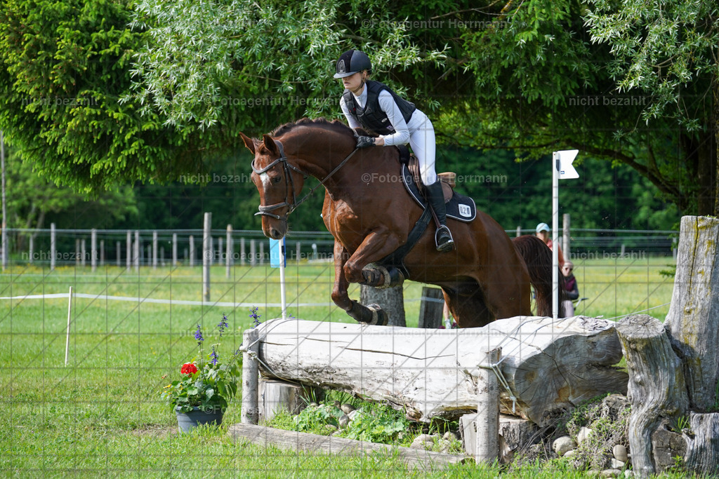 20240518-FAH04073 | Turnierbilder von Niederseon, Turnierfotografen Bayern, Fotoagentur Herrmann, Geländebilder, Reitsportfotografie