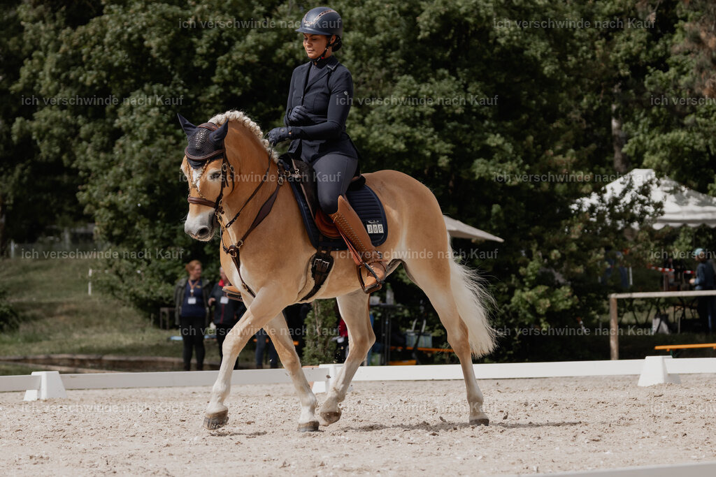 WE_DR_Stoib_308_PI2025_236 | Pferd International München 2025