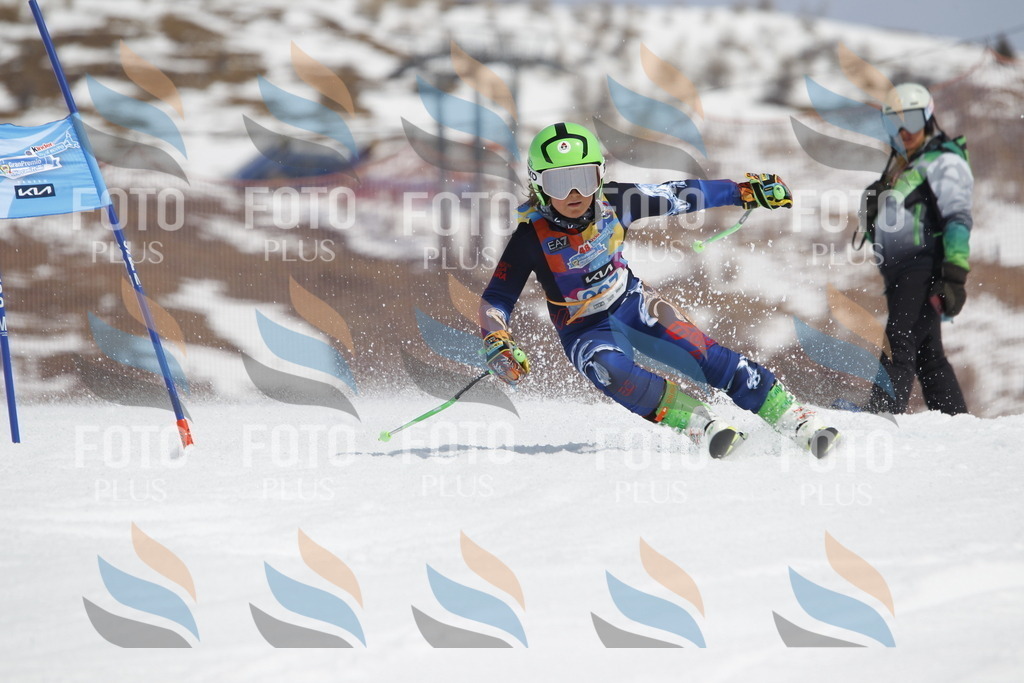 _U3G2166 | holidayphoto