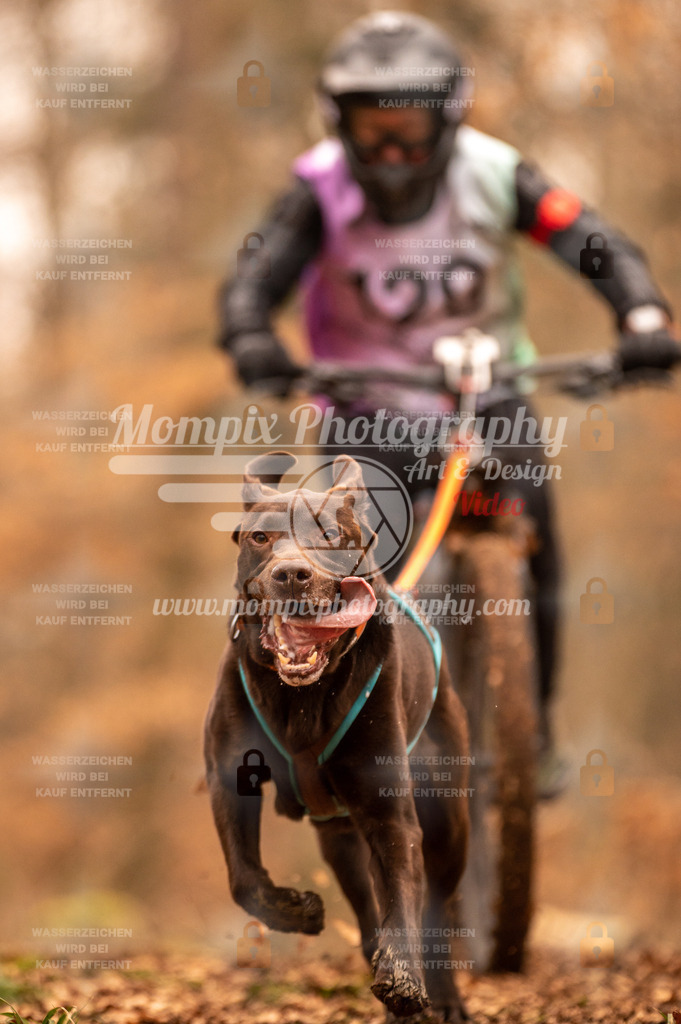 AKM_ST_2023_SAM_Bike-161 | PayLife
