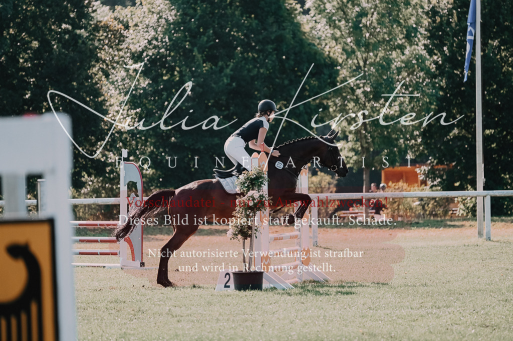 DSC_4769 | Pferde- und Turnierfotografie in Westsachsen. Pferdeportraits, Auftragszeichnungen und intuitive Kunst.