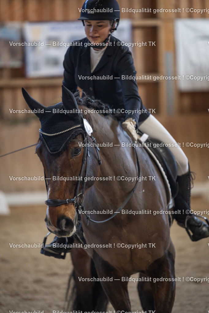 _D5A4698 | Emotionale Pferde- & People-Fotografie rund um Heidelberg, Leimen & Umgebung. Natürliche Fotos von Pferd, Mensch & Familie. Jetzt Termin sichern!