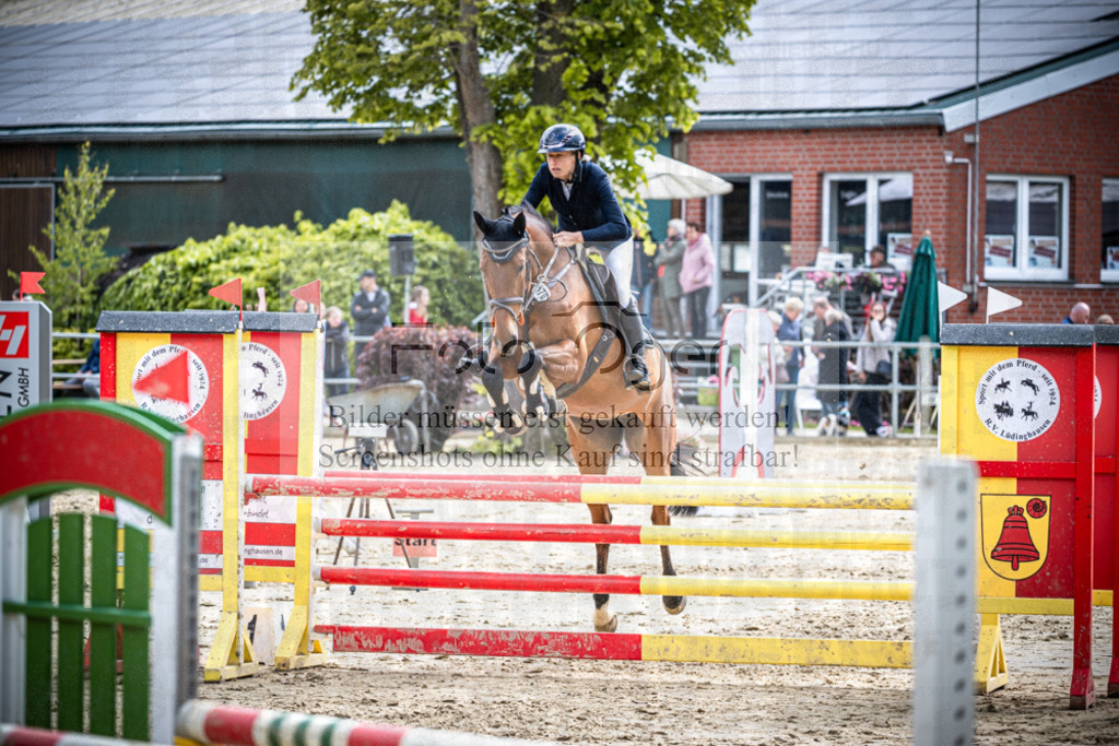 DOS_2684 | Reitturnier Lüdinghausen - Realisiert mit Pictrs.com