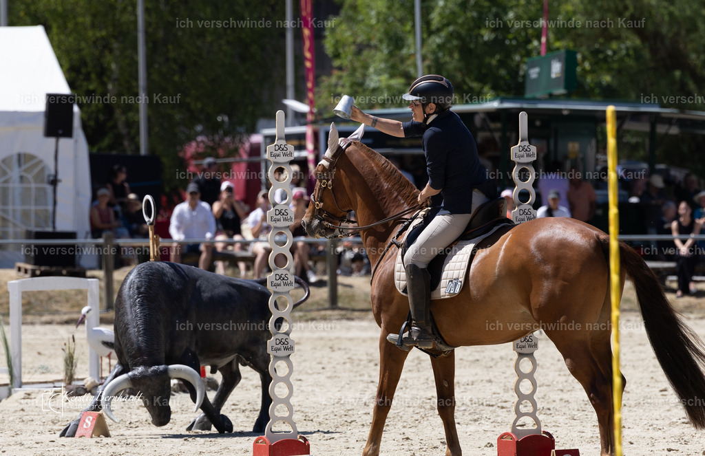 WM_Speed_92_KerstinBernhardt-3 | working equitationturnier fotograf videograf stoibphotography marixx film working equitation deutschland reitsport turnierfotografie eventfotografie equestrian events
