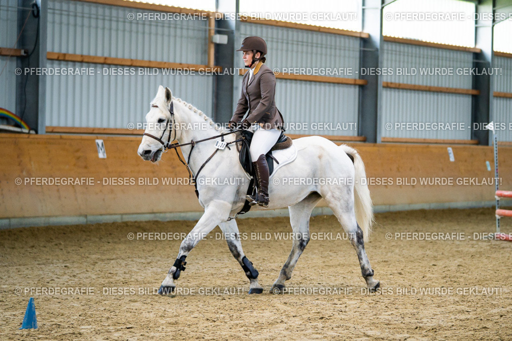 DSC00655 | Pferdegrafie