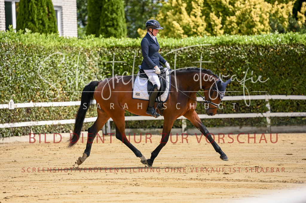 Schugtsche-Aluta25-48.Reitpferfdeprf.-52 | Schugtsche Fotografie - Realisiert mit Pictrs.com