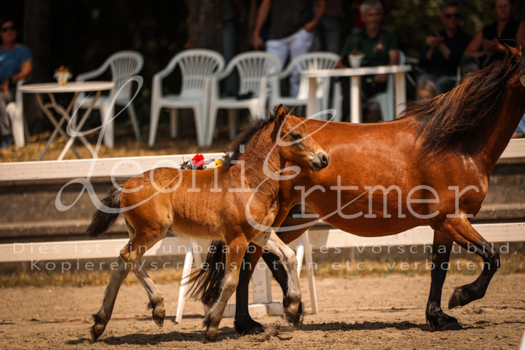 02.DoSR00128 | Leoni Ertmer Photography - Realisiert mit Pictrs.com