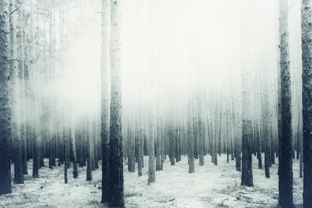 ...with us... | Stimmungsvolle Fotografien von Dorit Fuhg. Kaufen Sie bequem hochwertige Fine-Art Drucke, Wandbilder und Kalender hier im Online-Shop. - Realisiert mit Pictrs.com